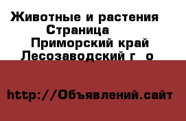  Животные и растения - Страница 10 . Приморский край,Лесозаводский г. о. 